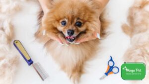 1756800991 8975731ee4ed9dc7bb6f