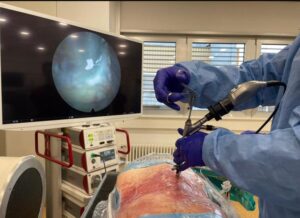 1760682861 5aa36970864a05998636 2